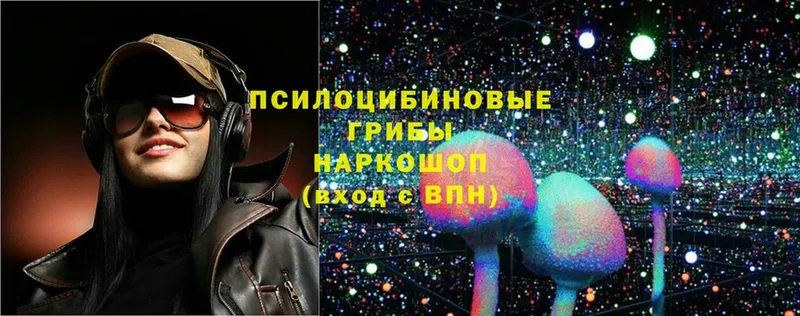 Псилоцибиновые грибы Magic Shrooms  Вяземский 